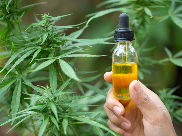 Why You Should Read CBD Oil Reviews