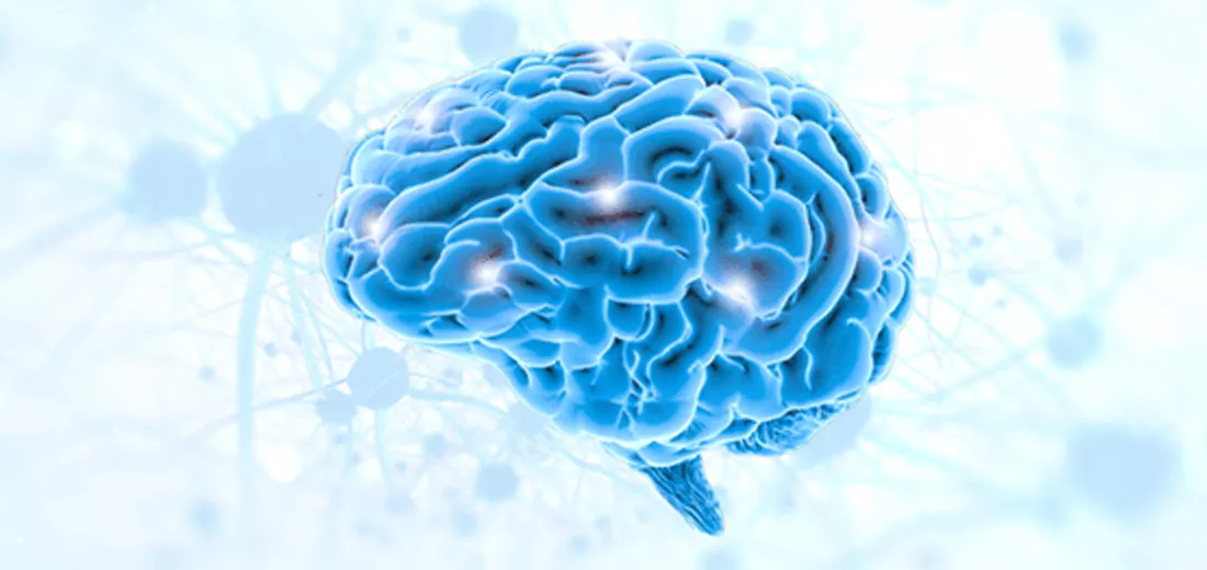 Stuart Piltch’s Professional and Community Initiatives in Jupiter, Florida